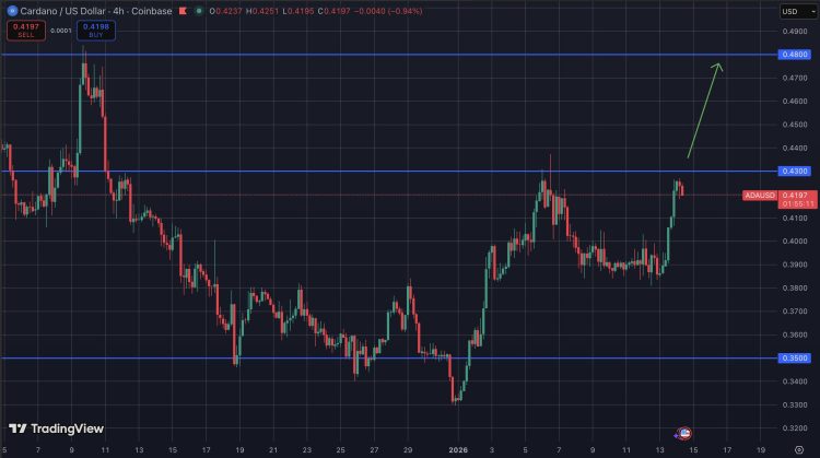 Cardano koers profiteert van whale aankopen en ETF volume.