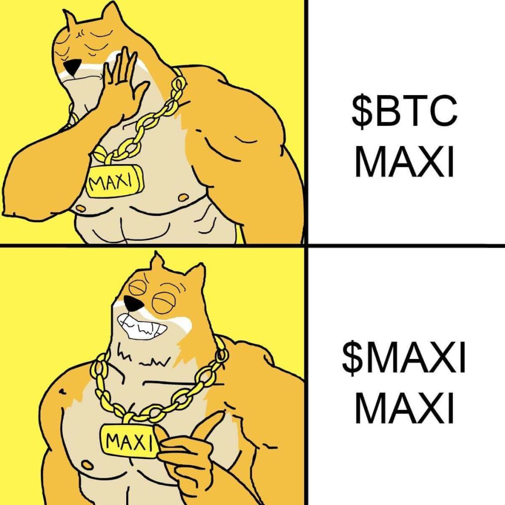 maxi doge crypto