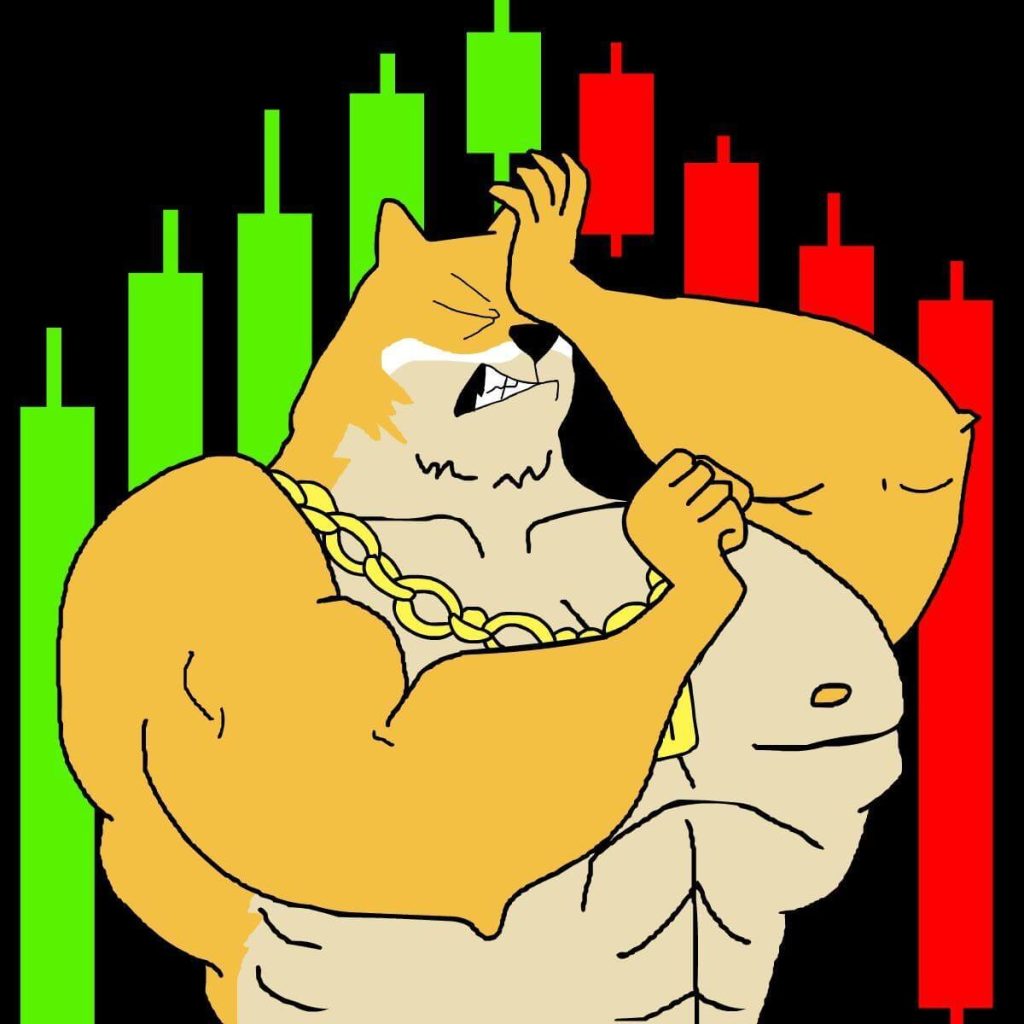maxi doge presale