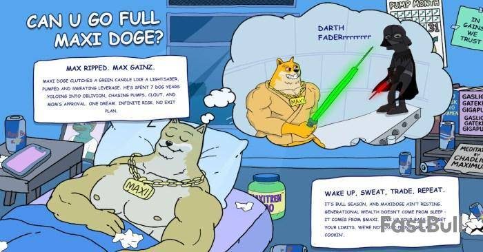 maxi doge