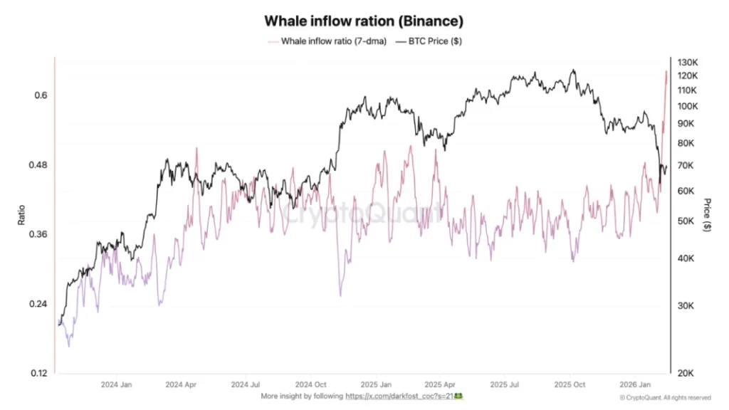 Long term holder ratio - Bron: CryptoQuant