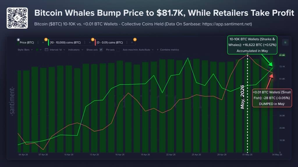 Bitcoin whale count