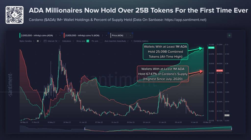 Cardano whale groei