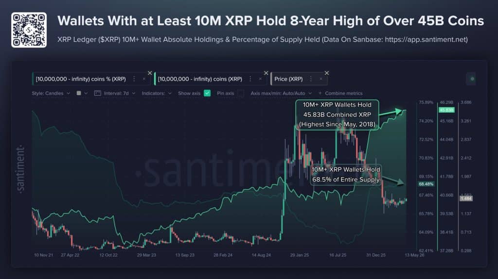 XRPL crypto whale wallet groei