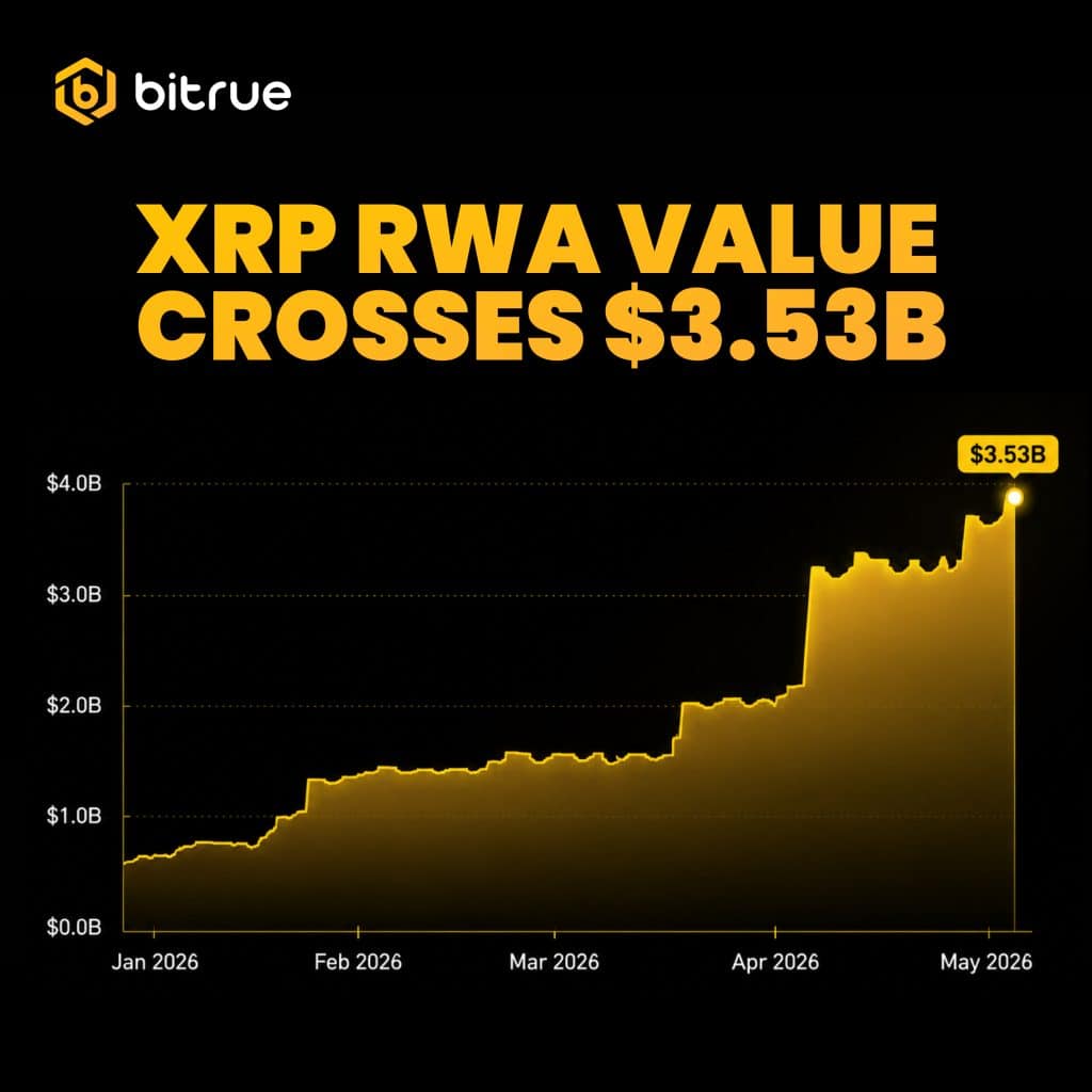 XRP RWA crypto groei 2026
