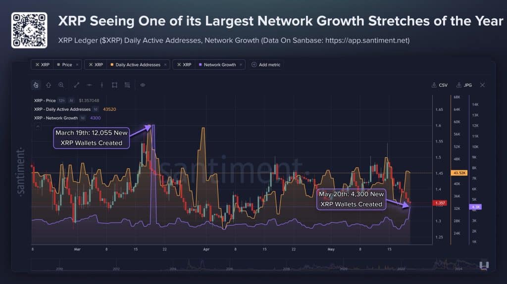 XRP wallet groei deze week