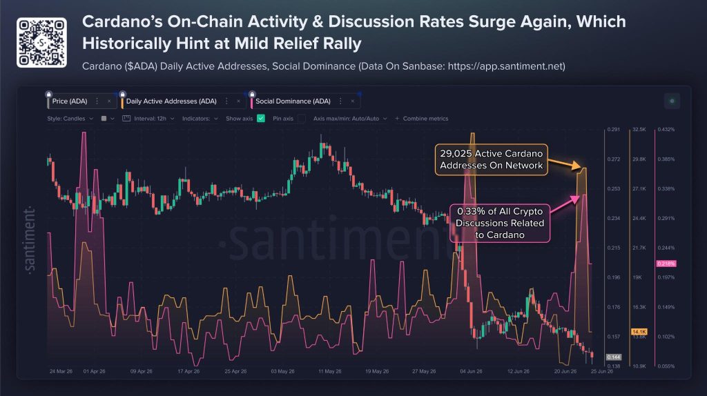 Cardano onchain groei tijdens crash