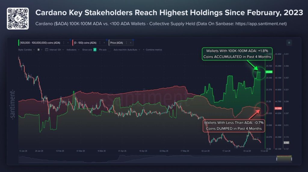 Cardano whale aankopen