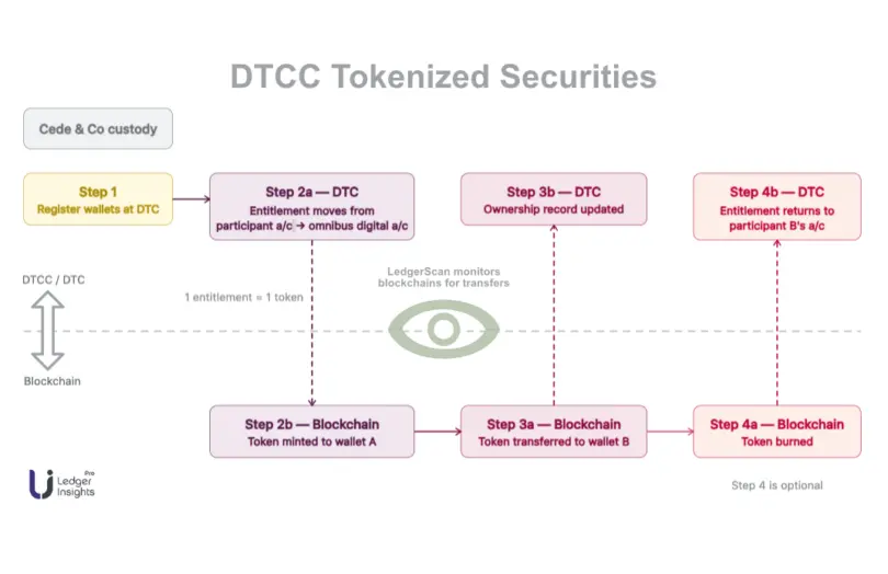 Diagram illustrating the DTCC tokenized securities process across DTC and blockchain layers.