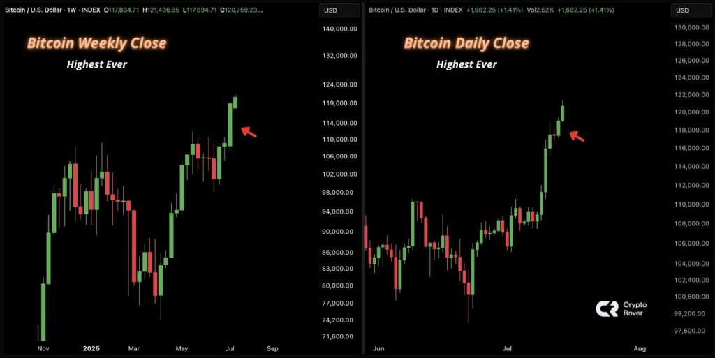 crypto rover