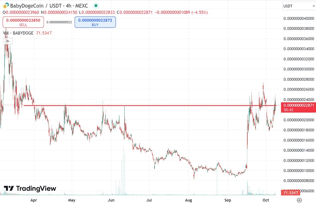 Baby Doge Coin Fiyat Tahmini