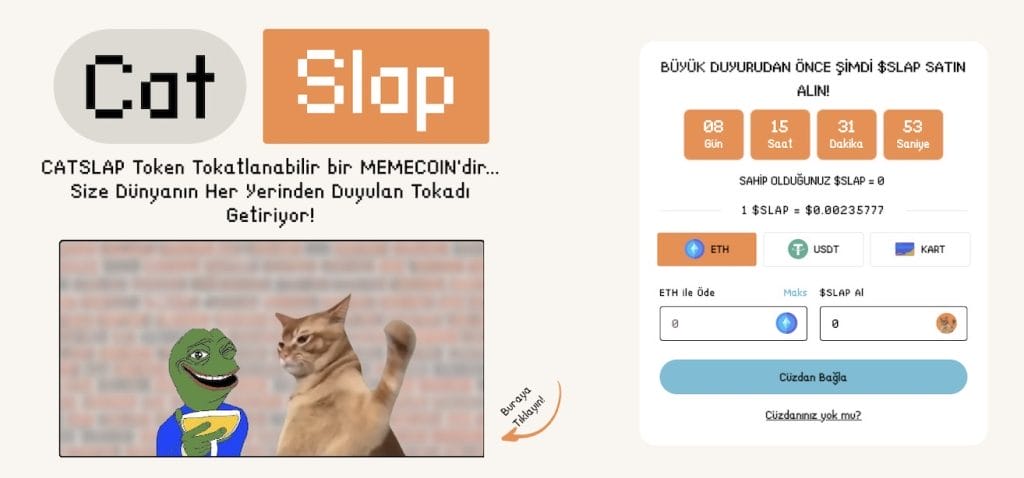 catslap yatırım tavsiyesi