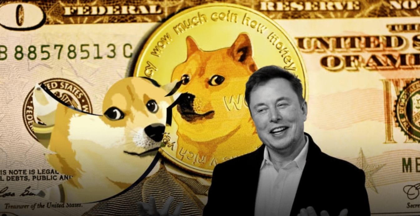 En İyi Elon Musk Coinleri
