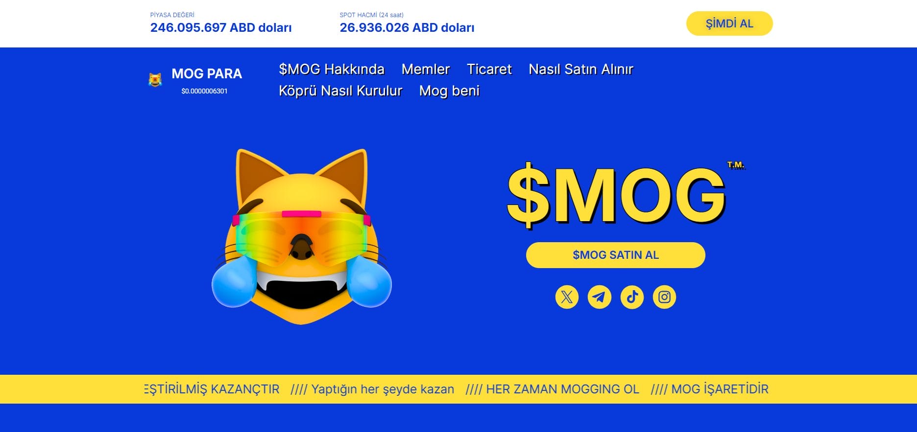 İkinci En Büyük Kedi Meme Coini