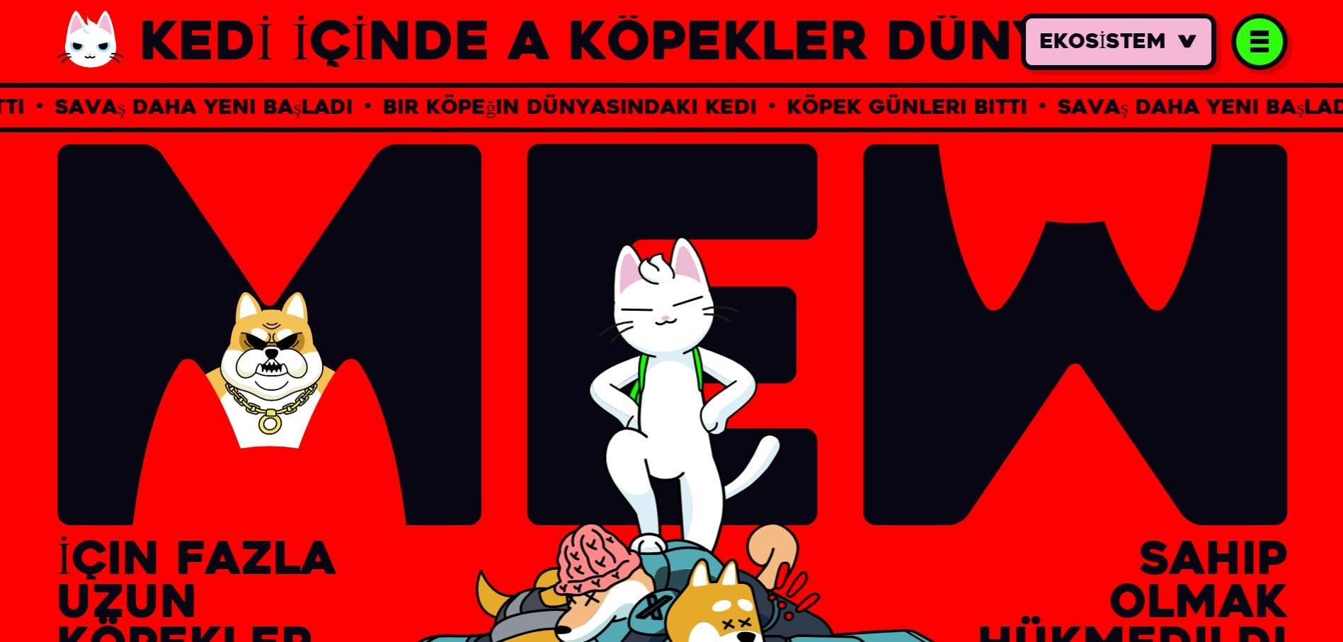 En popüler Solana Kedi Meme Coini