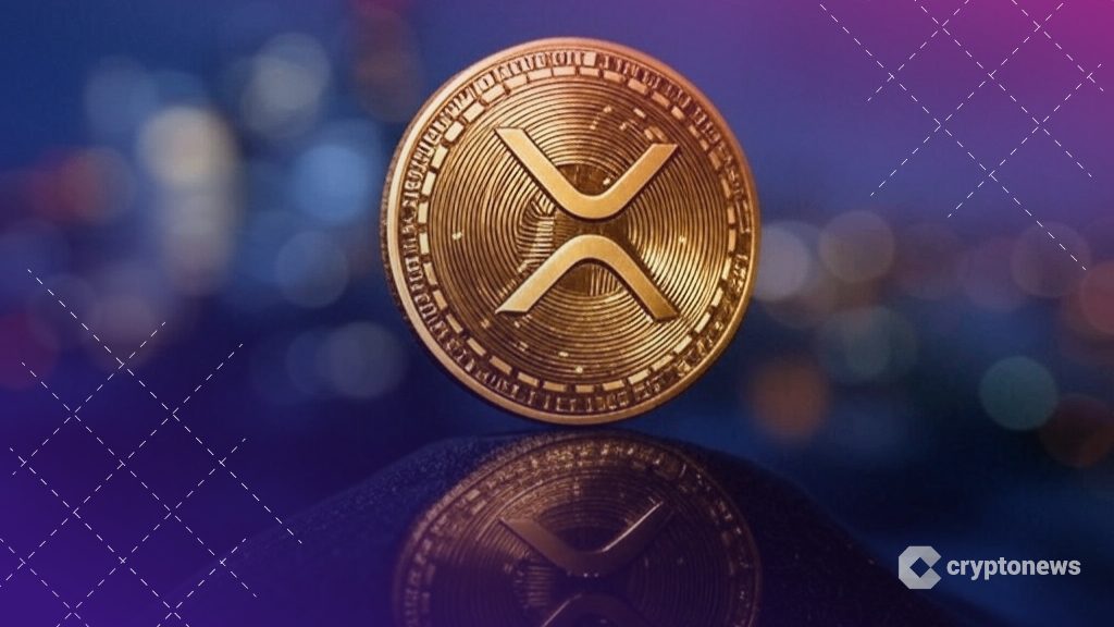 xrp analizi