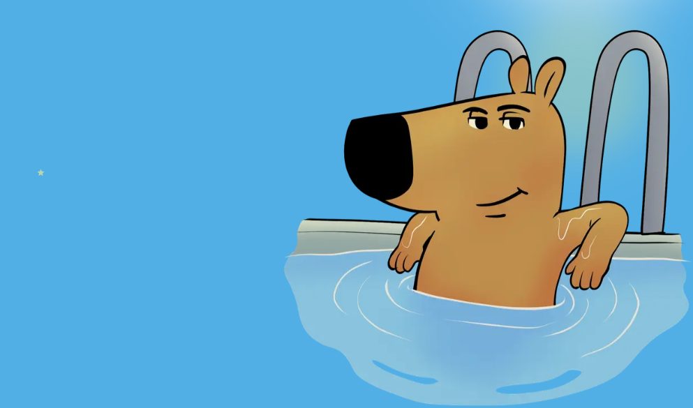 Just a Chill Guy Nedir?