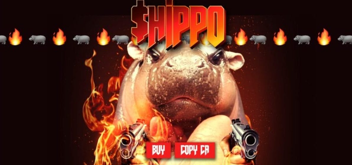 Yükselecek kripto paralar