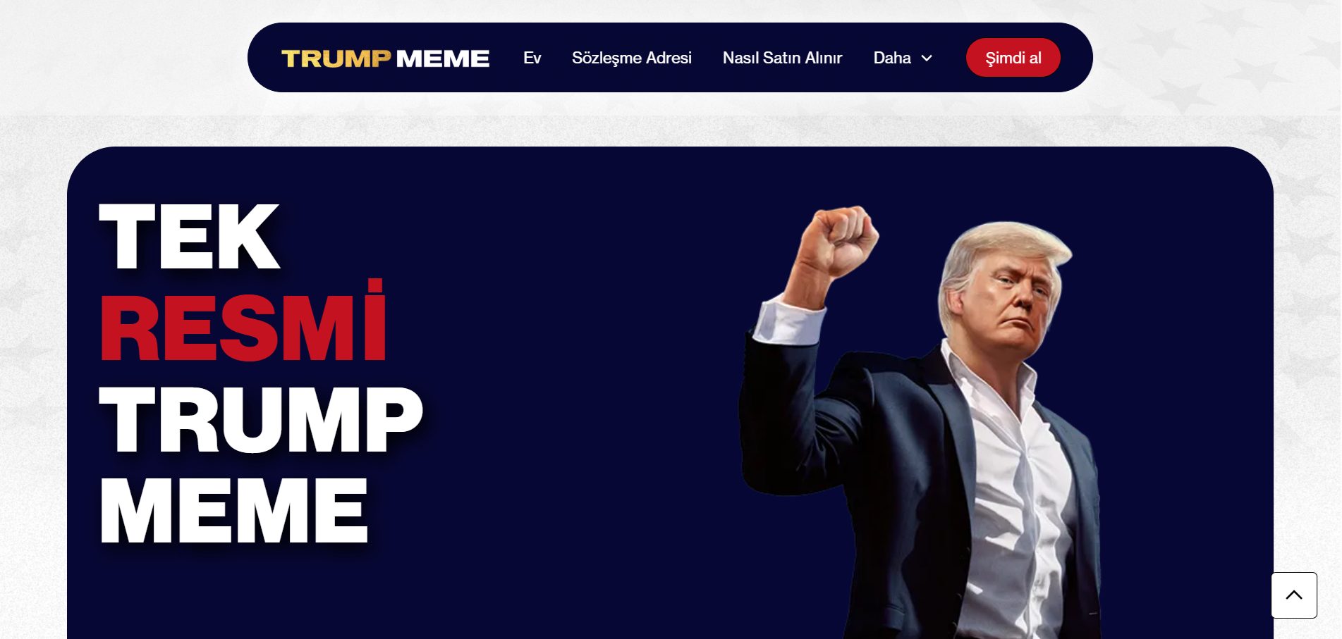 TRUMP Fiyat tahmini
