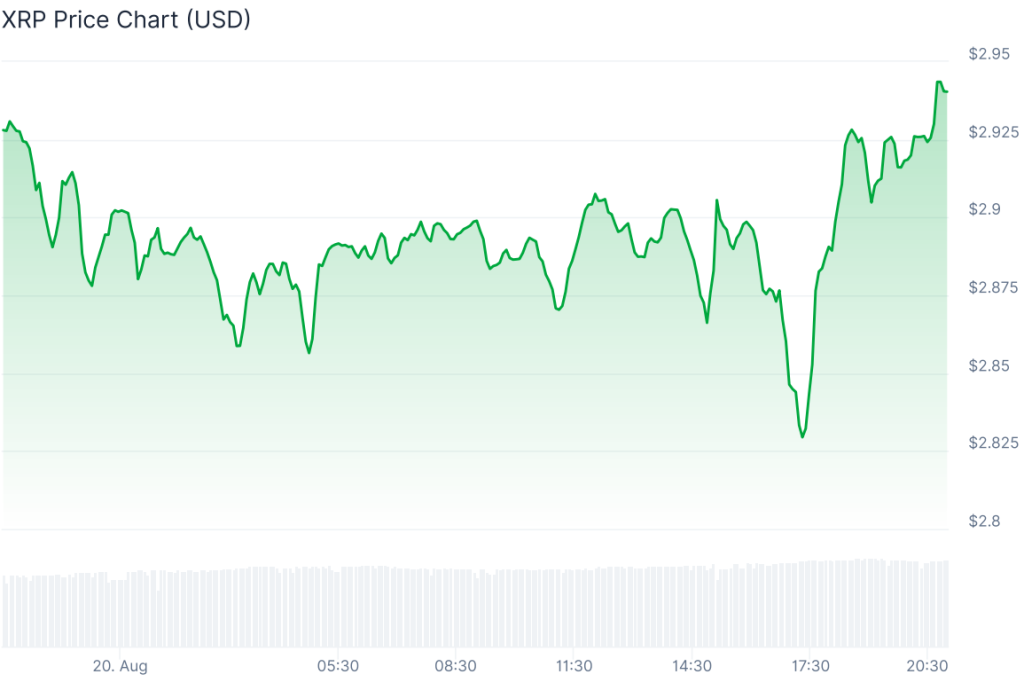 xrp fiyat grafiği