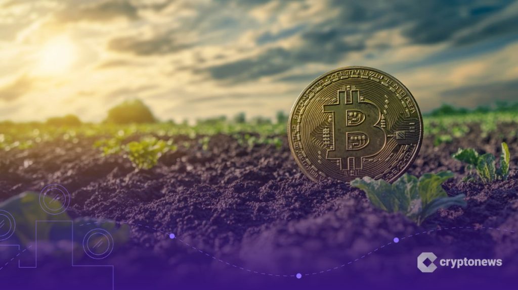 Kripto Piyasası Çöküşten Sonra Güçleniyor – Analistler Umutlu