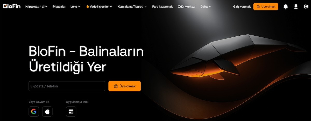 blofin kaldıraçlı işlem