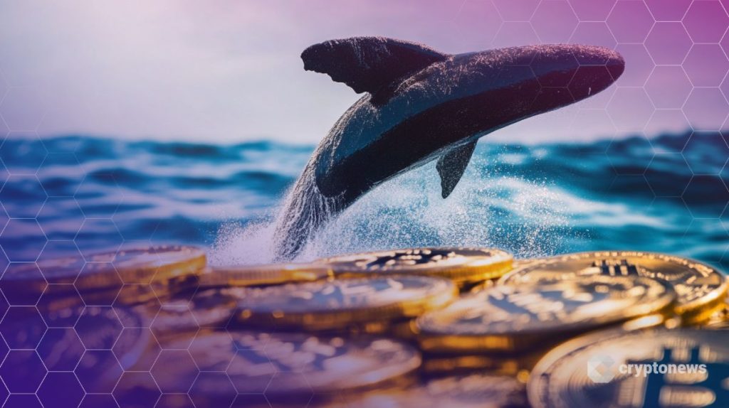 Balinalar Binance’e Milyarlarca Dolarlık Bitcoin ve Ethereum Taşıdı