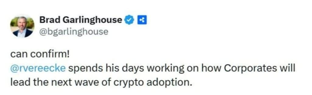 Ripple CEO Brad Garlinghouse açıklaması 