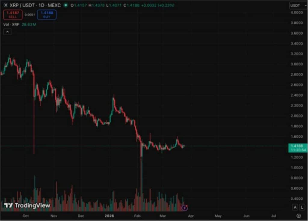 xrp işlem grafiği