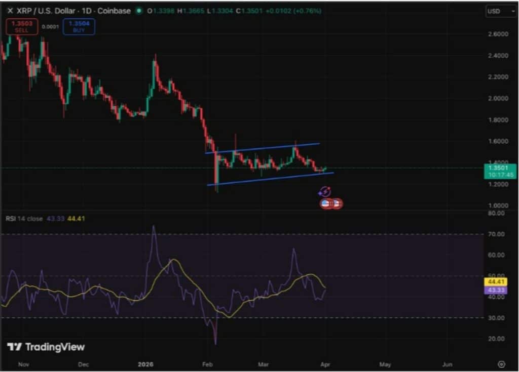 xrp işlem grafiği