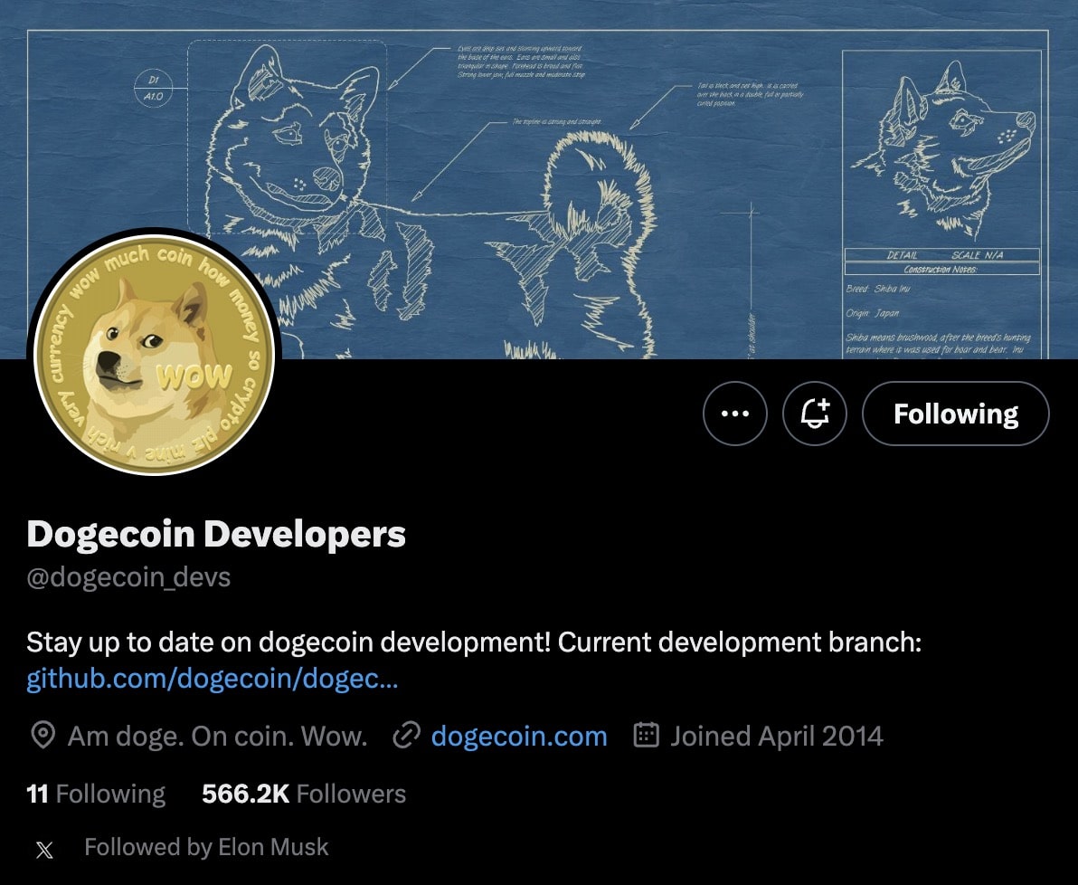 Dogecoin Developer Twitter