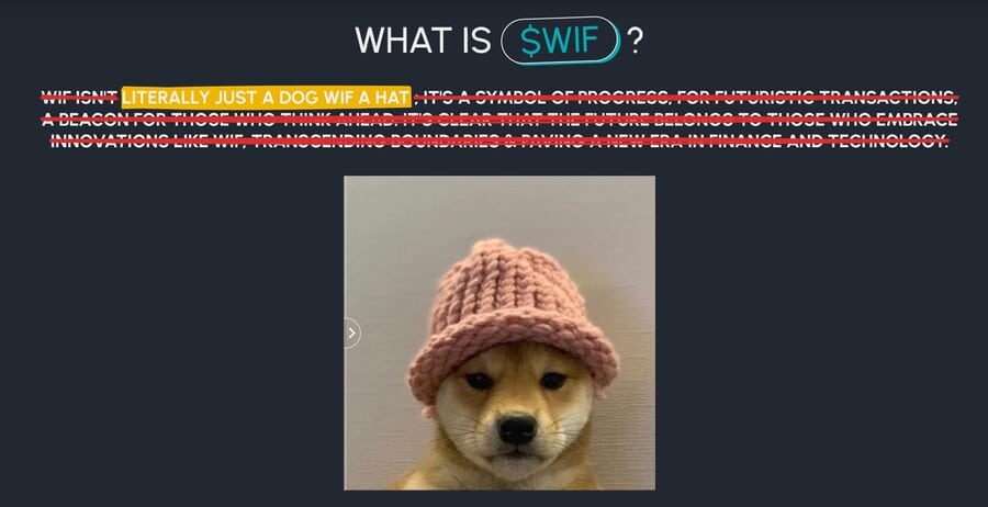 Dog wif hat meme coin