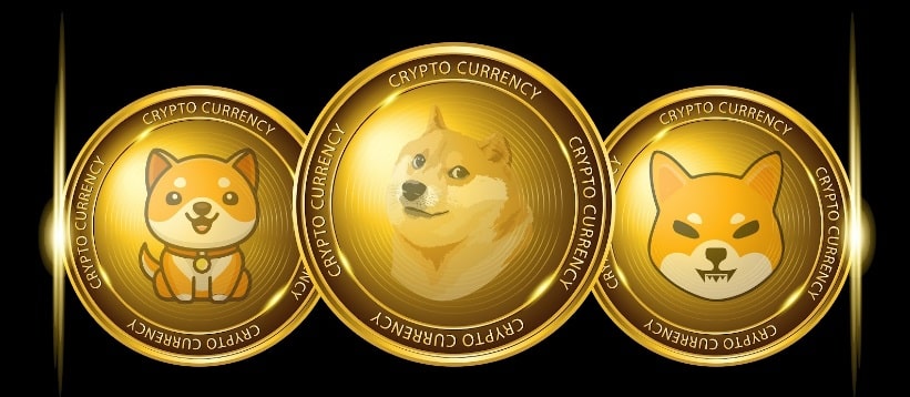 What Makes a Cryptocurrency Explode Like Shiba Inu?