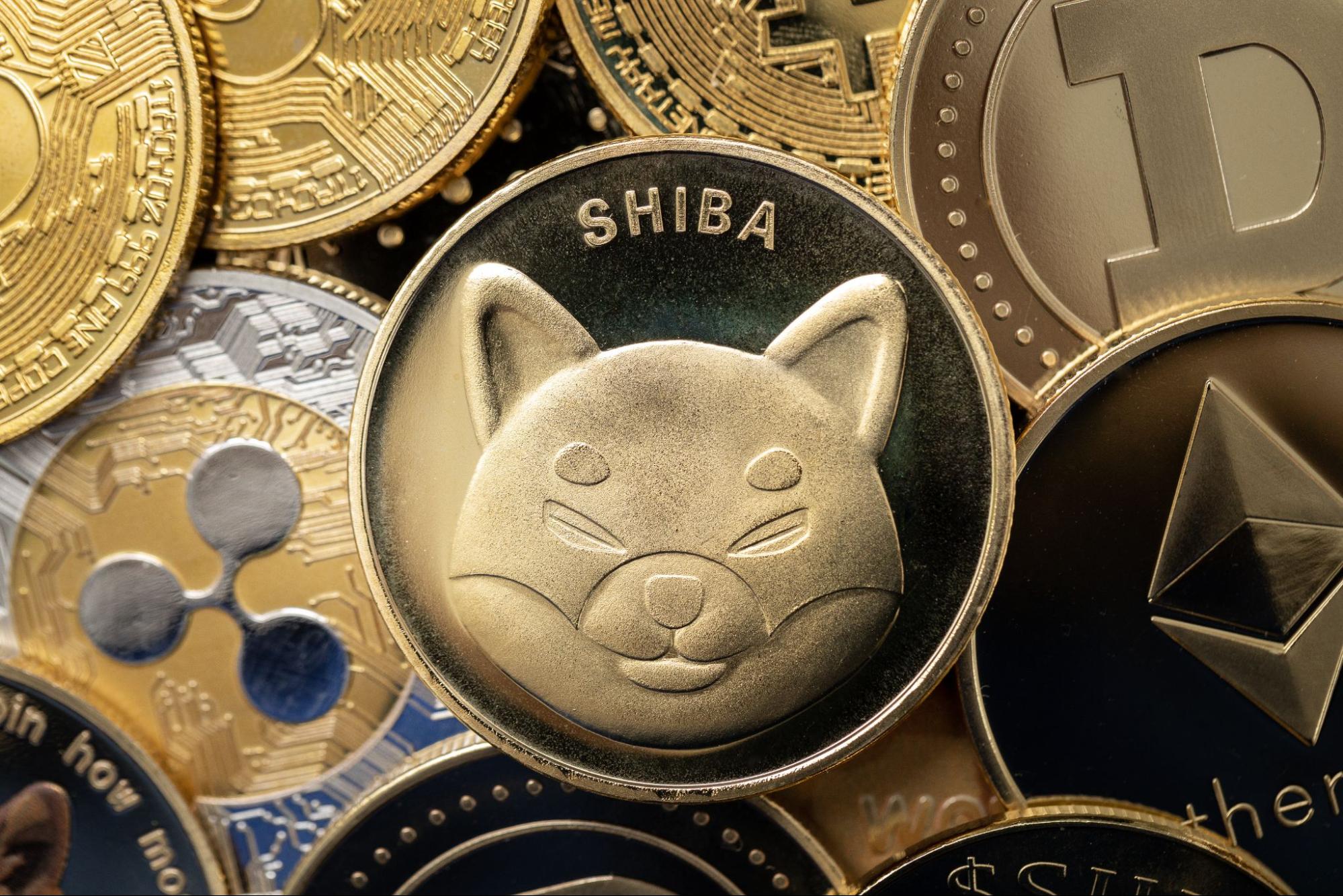 Seeking Alternatives to Dogecoin and Shiba Inu Galaxy Fox s