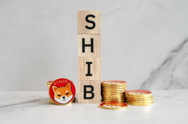 shib coin