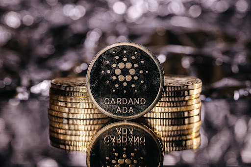 مجموعةٌ من العملات الذهبية تتوسّطها عملةٌ سوداء اللون تحمل شعار عملة كاردانو