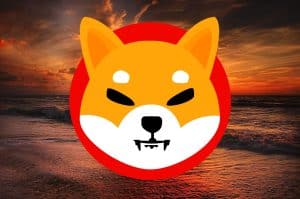 Is Shiba Inu Going to Zero? SHIB Price Suddenly Drops 11% as New Meme Coin Takes the Limelight
