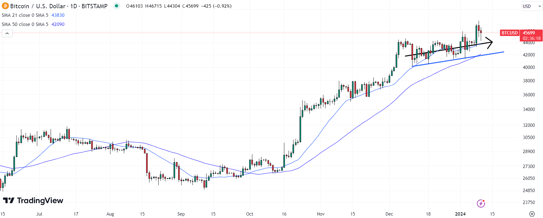 Bitcoin (BTC) Price Chart / Source: TradingView