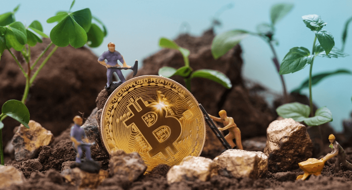 How to Mine Crypto in 2024 – Step-By-Step Guide to Mining Cryptocurrency