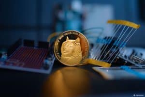 11 Best Meme Coins to Buy in 2024