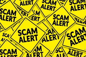 Scammers Use Meme Coin Mania to Defraud 42,000 Victims and Amass $32 Million: Blockfence