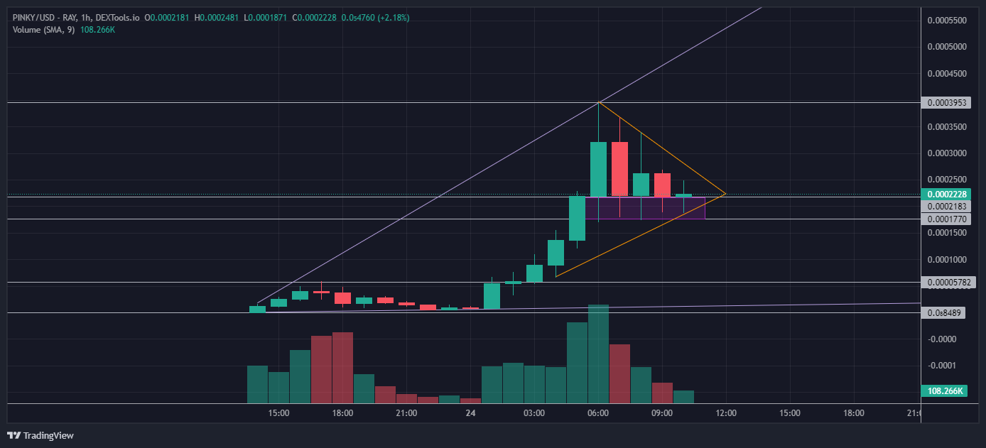 PINKY price analysis: As Solana memecoin based on Mr Beast Dog explodes onto the scene, is Pinky token due to retrace? find out here.
