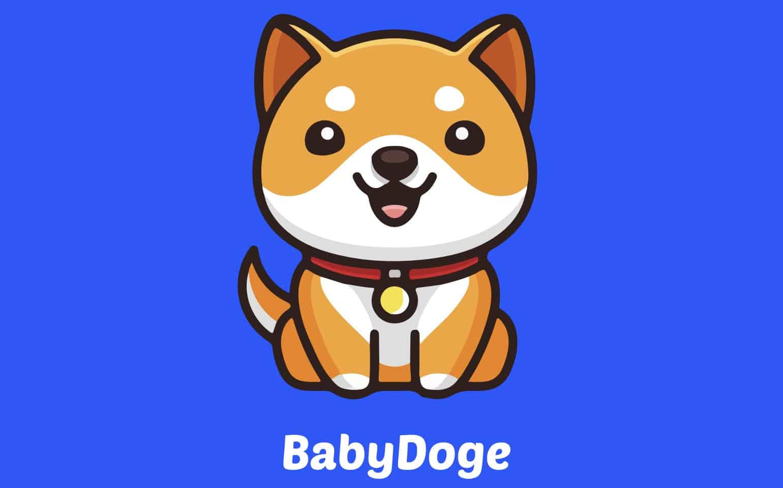 Baby Doge Character