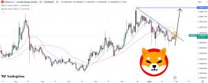 Shiba Inu Price Prediction as SHIB Bounces 10% – New Rally Starting?