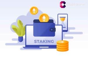 15 Best Crypto Staking Platforms with Highest APY Yields in 2024