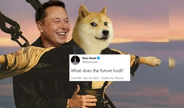 Elon Musk Hodling Dogecoin