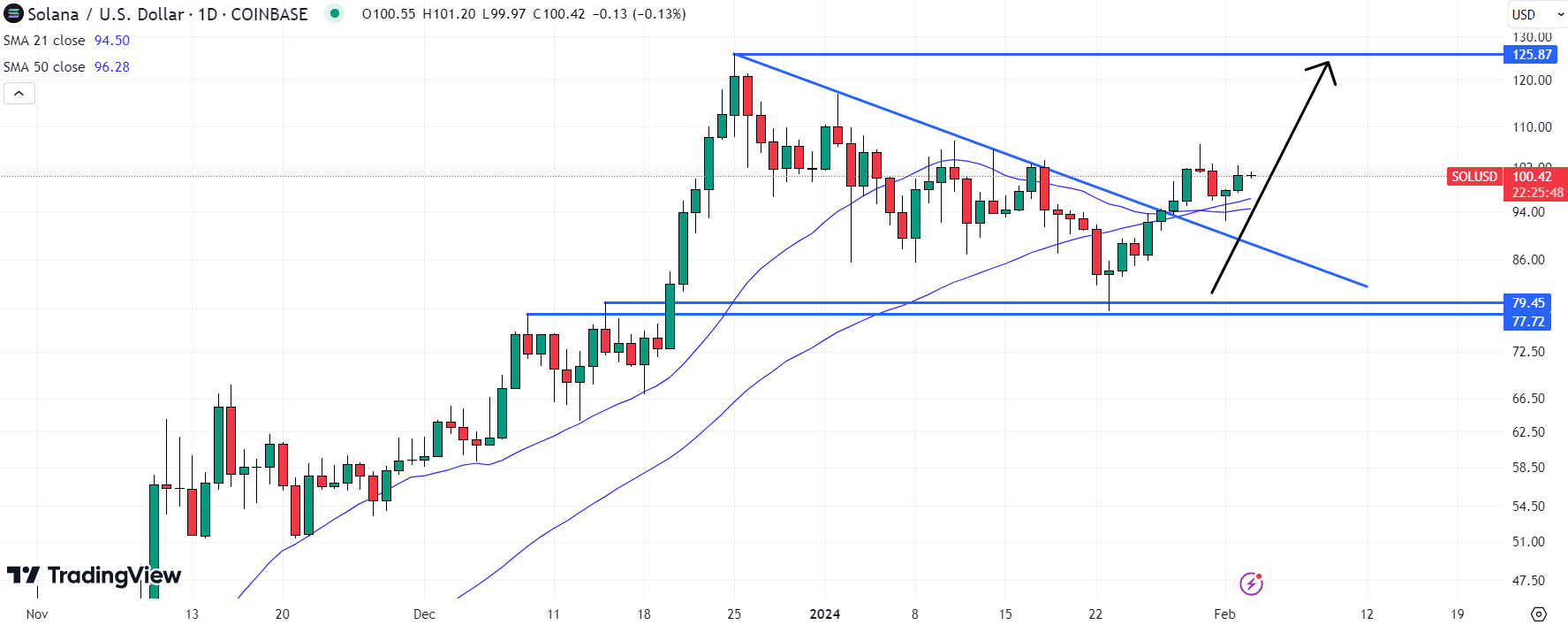 Solana (SOL) Price Chart / Source: TradingView