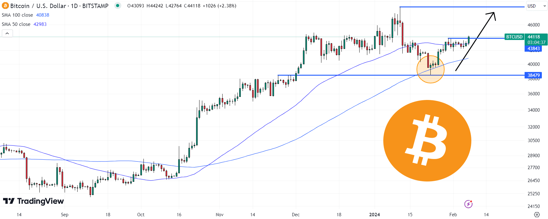 Bitcoin (BTC) Price Chart / Source: TradingView