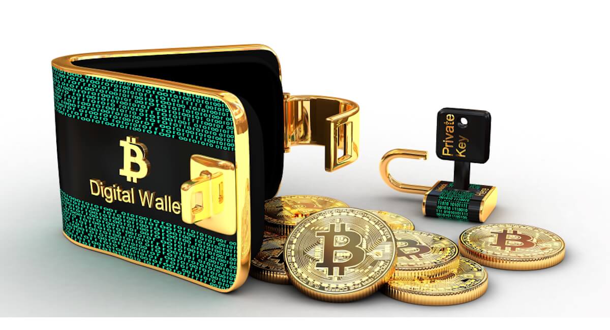 Hot Wallets vs Cold Wallets: Key Differences Explained