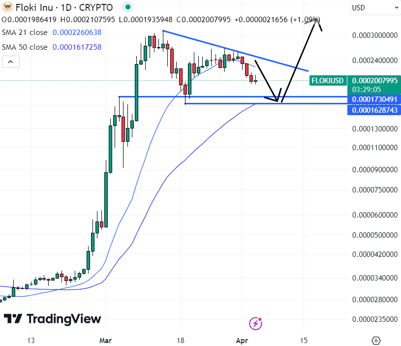 Floki Price Prediction as FLOKI Drops 25% From Recent Highs – Can FLOKI Reach $1?